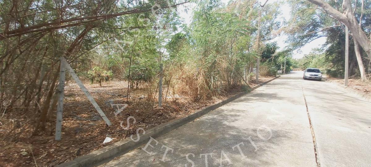 ✨ที่ดินเปล่า ในหมู่บ้าน Sivalee Rangsit 1 ทำเลดี เหมาะกับปลูกสร้างหรือทำธุรกิจ💎