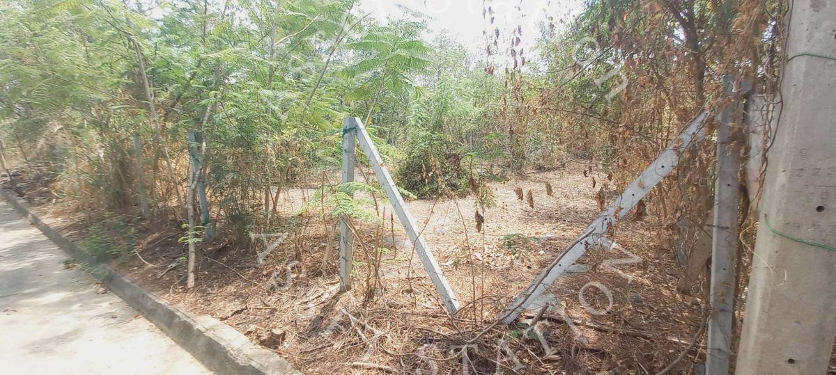 ✨ที่ดินเปล่า ในหมู่บ้าน Sivalee Rangsit 1 ทำเลดี เหมาะกับปลูกสร้างหรือทำธุรกิจ💎