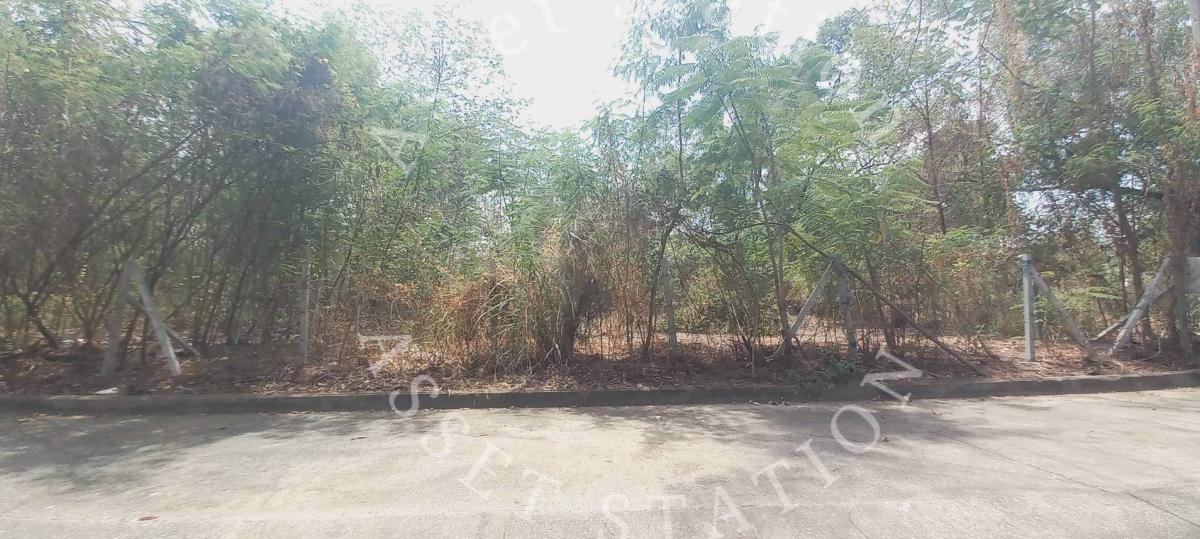 ✨ที่ดินเปล่า ในหมู่บ้าน Sivalee Rangsit 1 ทำเลดี เหมาะกับปลูกสร้างหรือทำธุรกิจ💎