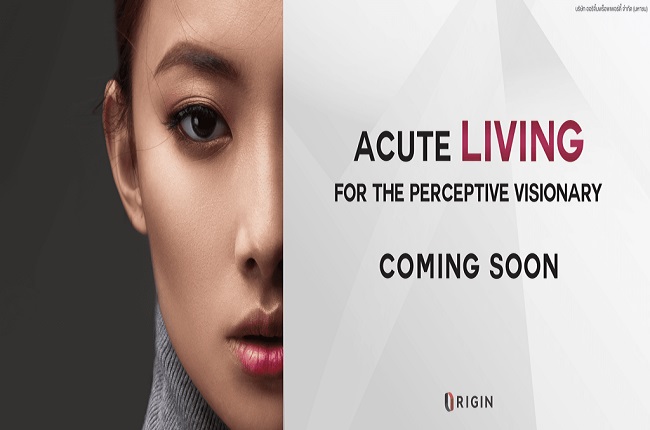 banner-project-details