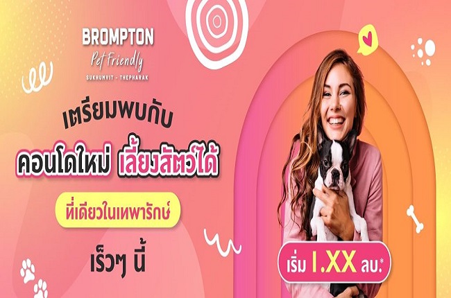 banner-project-details